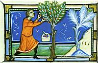 Cueillette des fruits (3)